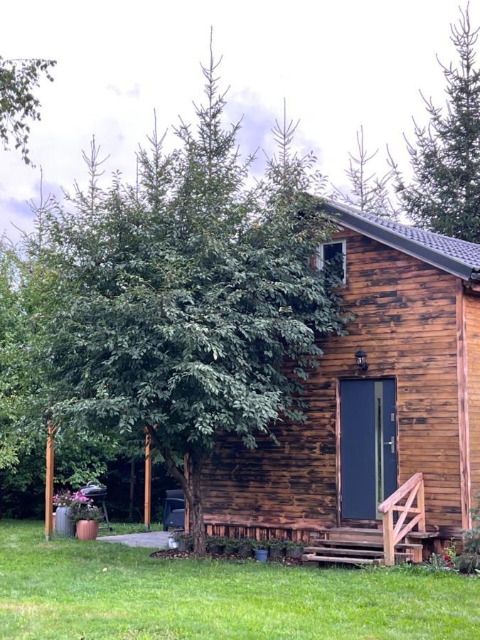 Villa Jezowka I Sudetka Jezow Sudecki Exterior foto